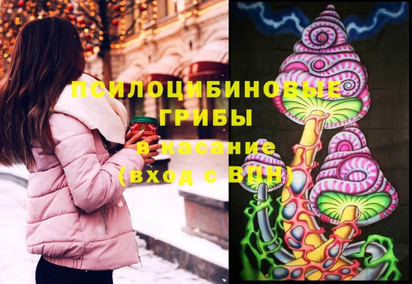 винт Алексеевка